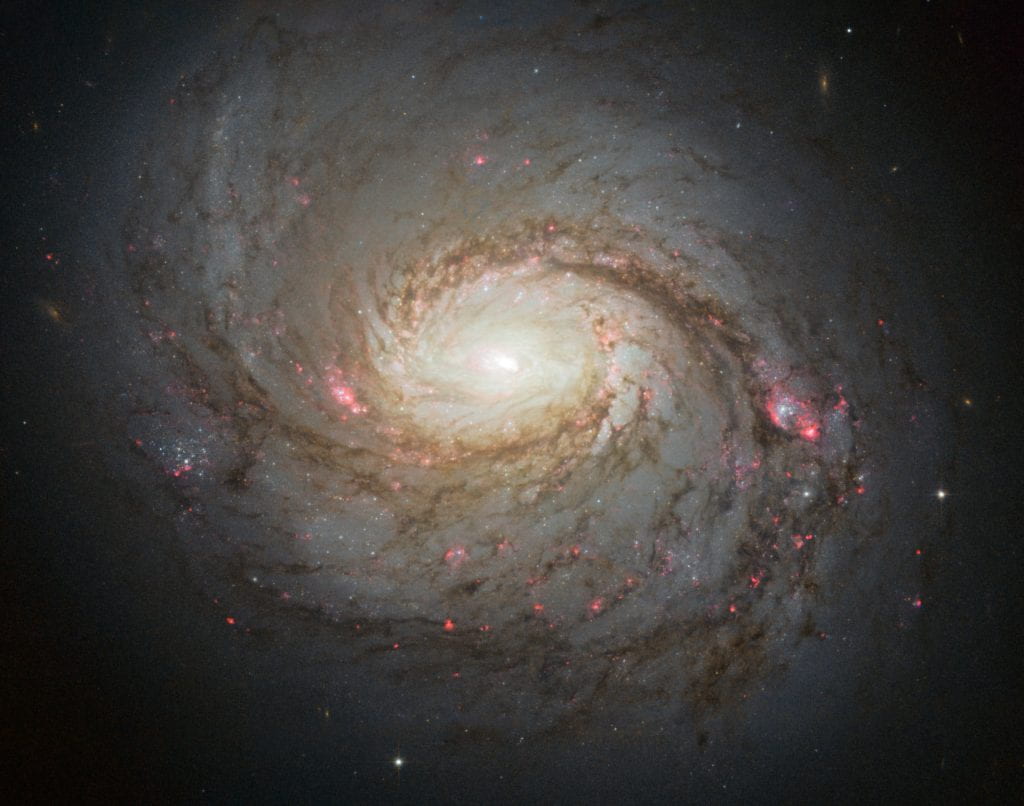Hubble image of the spiral galaxy NGC 1068. Credit: NASA/ESA/A. van der Hoeven
